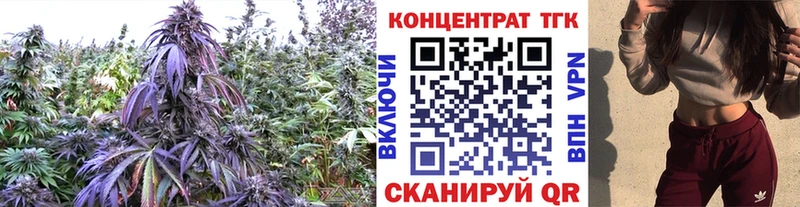 ТГК жижа  Арск 