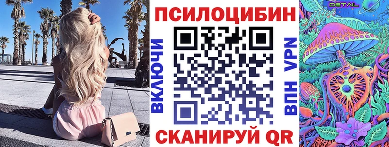 Псилоцибиновые грибы Psilocybe  блэк спрут ССЫЛКА  Арск 